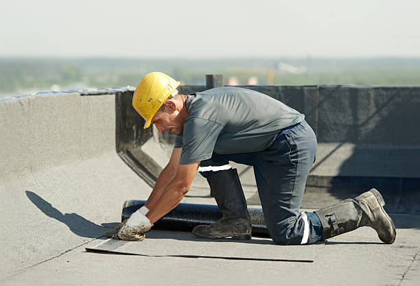 Best Specialized Insulation Services in La Mesa, CA
