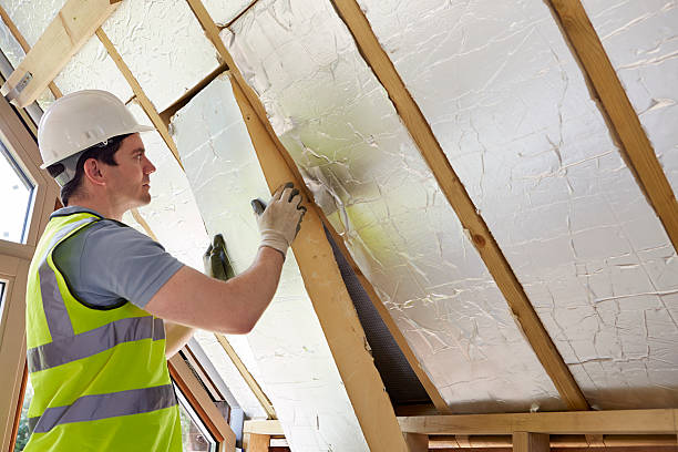 Best Blown-in Insulation in La Mesa, CA